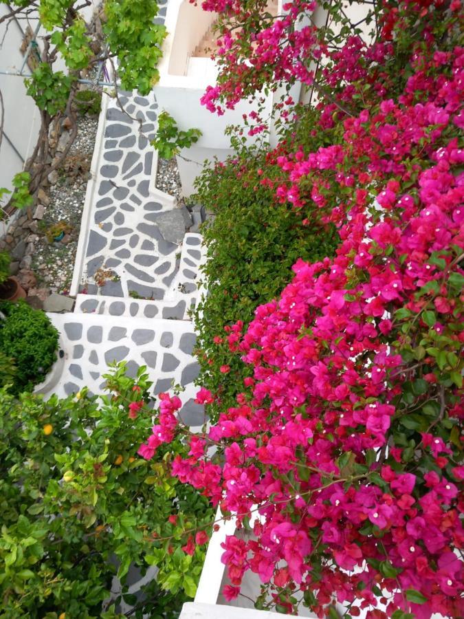 Studio In Garden Poros Town Exteriör bild